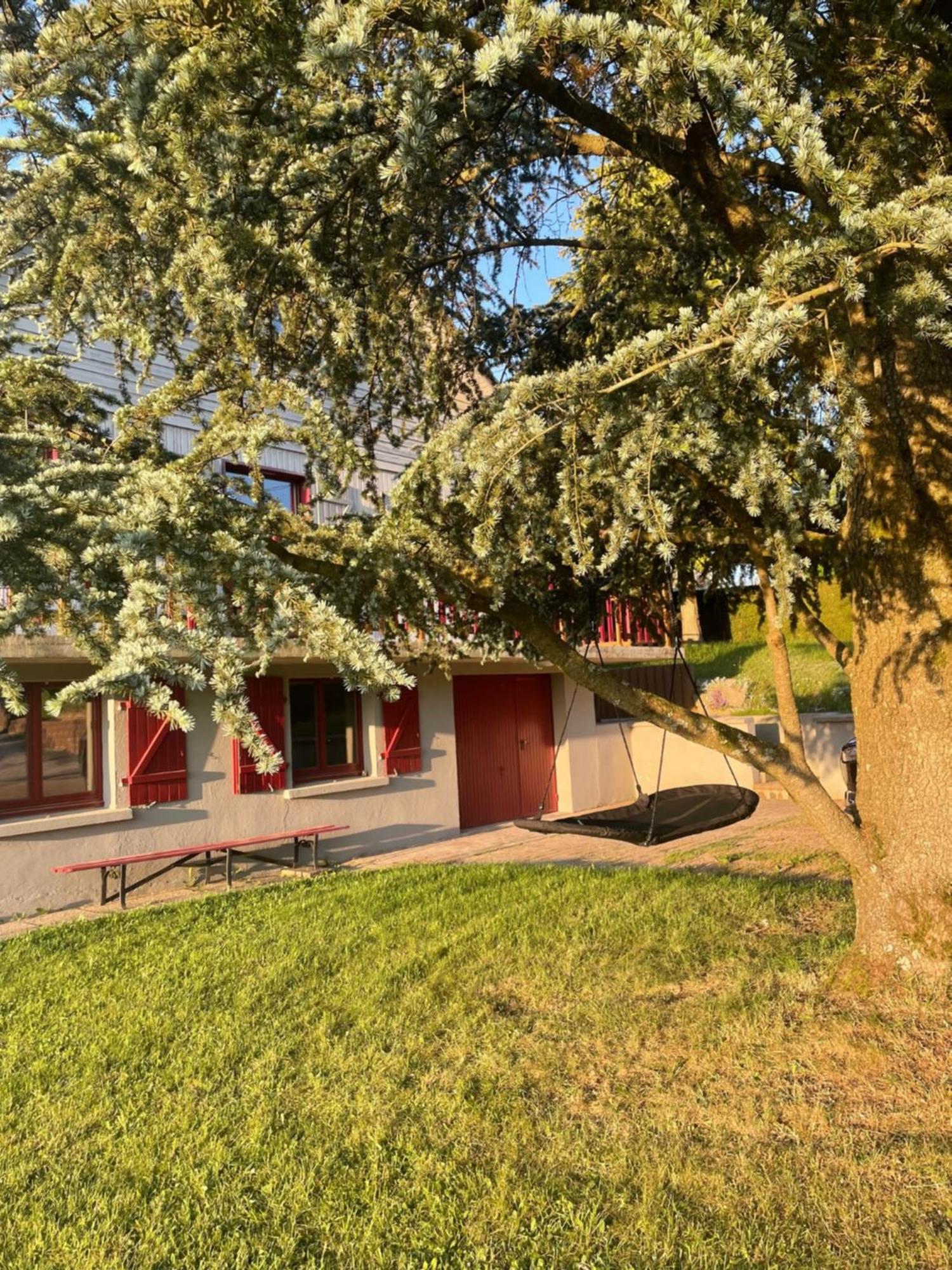 Chalet Le Cedre Bleu 10 P - 10 Min De Gerardmer Le Tholy Exterior foto